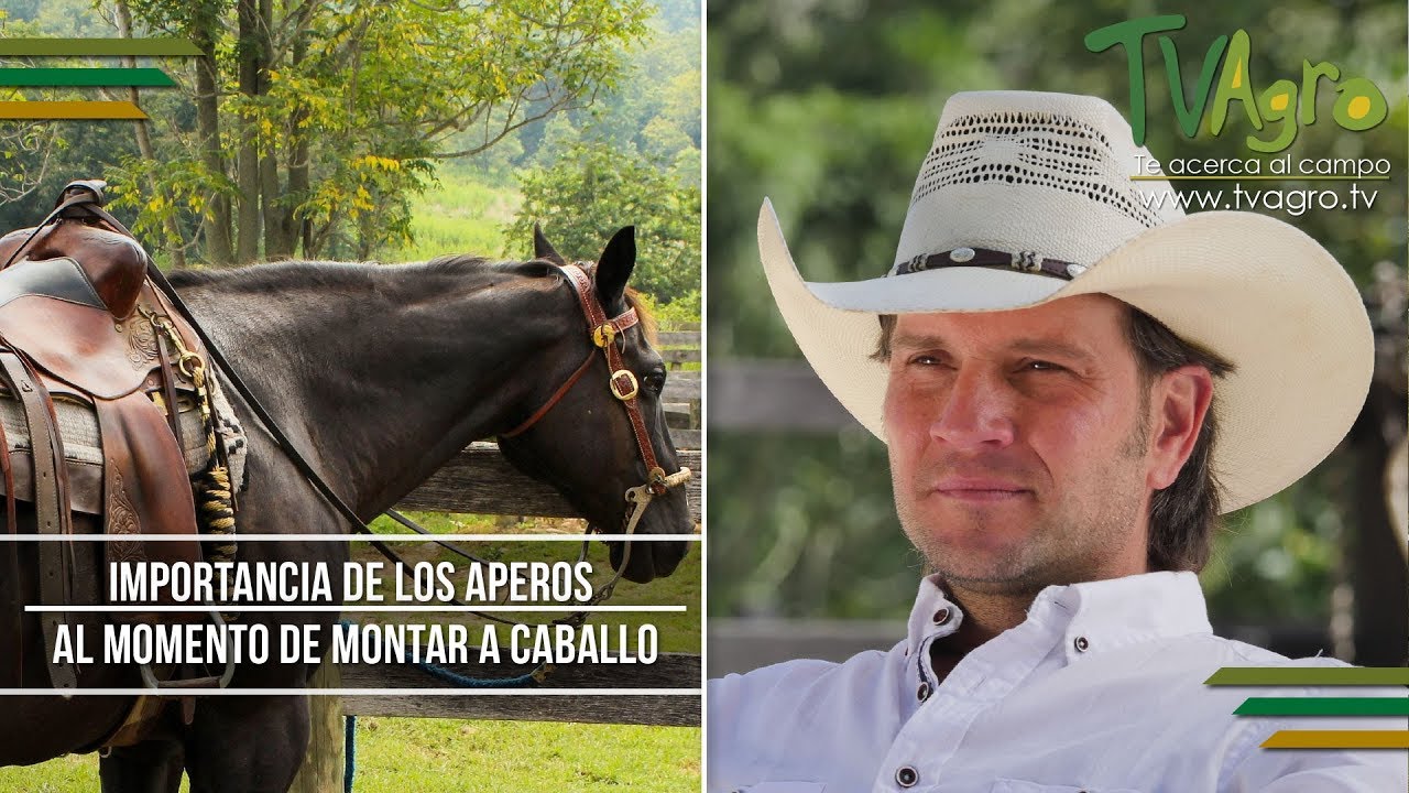 Importancia de los Aperos al momento de Montar a Caballo  - TvAgro por Juan Gonzalo Angel