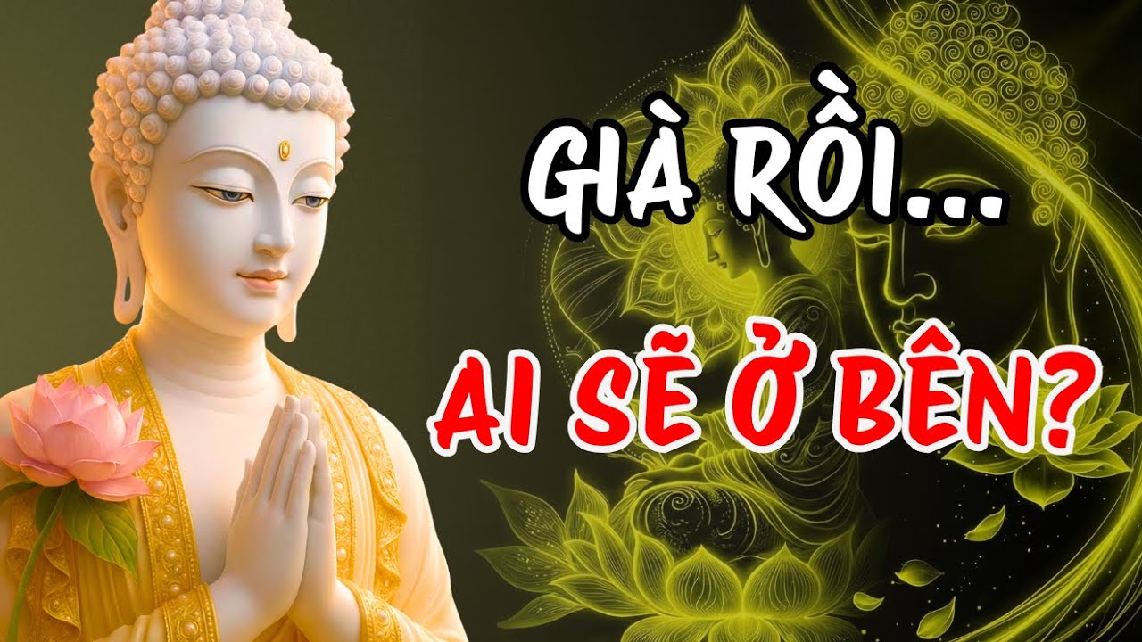 Phật Dạy: Muốn Tuổi Già Không Cô Đơn, Nhất Định Phải Gieo Phước Từ Hôm Nay