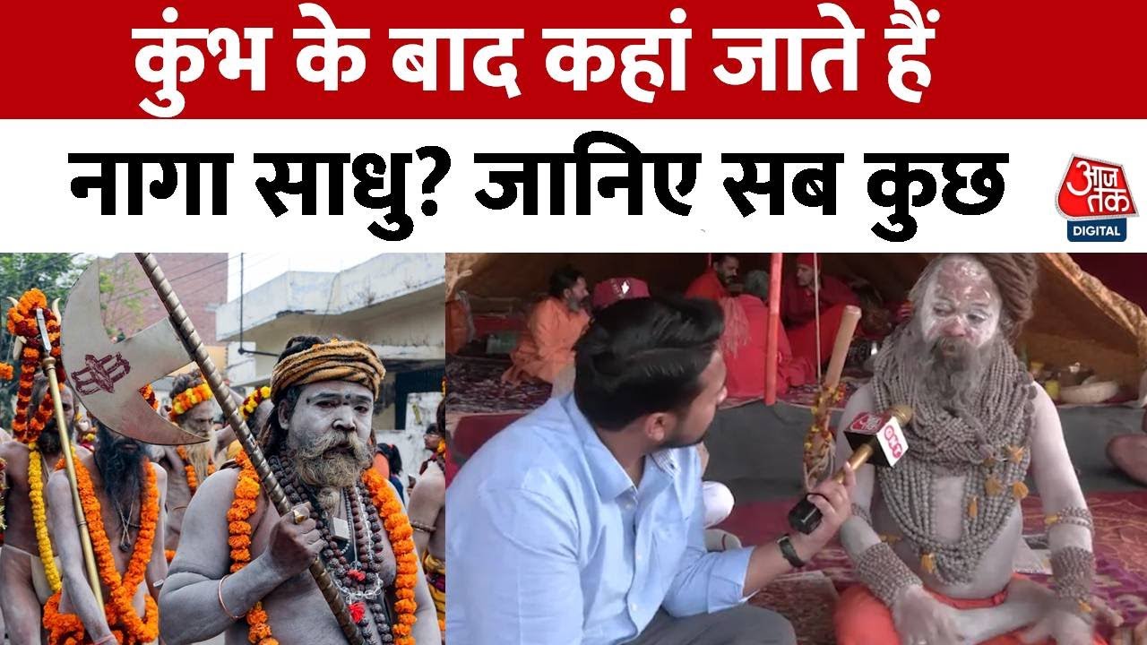 Niranjani Akhara के Naga Sadhu दिगंबर ने बताया कुंभ में स्नान के बाद कहां जाते हैं नागा साधु?