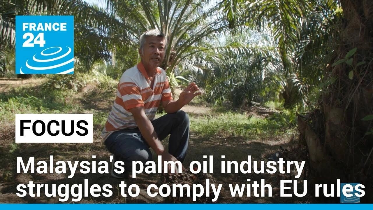 Malaysia's palm oil industry struggles to comply with EU regulations • FRANCE 24 English