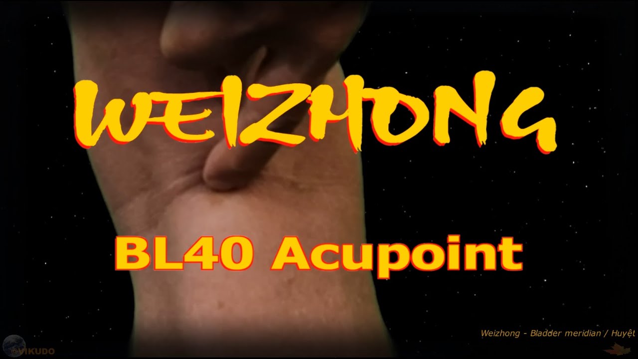 BL40 | Weizhong Acupoint | Bladder Meridian | Acupressure VIKUDO