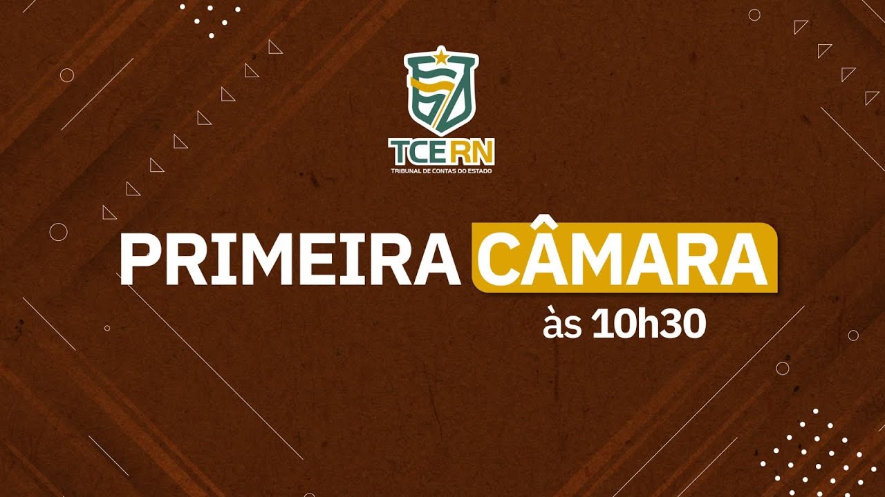1ª SESSÃO ORDINÁRIA DA PRIMEIRA CÂMARA - 23/01/2025 - 10:30h