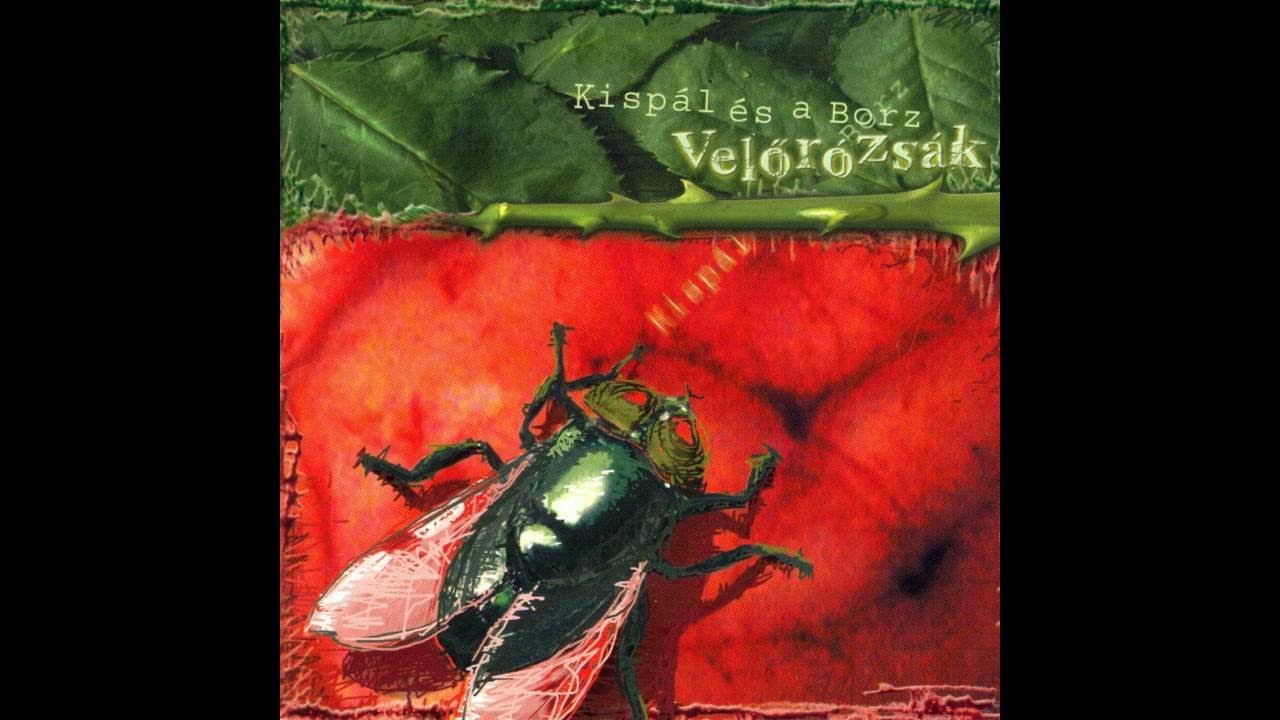 Kispál és a Borz - Az Emberek Megértik