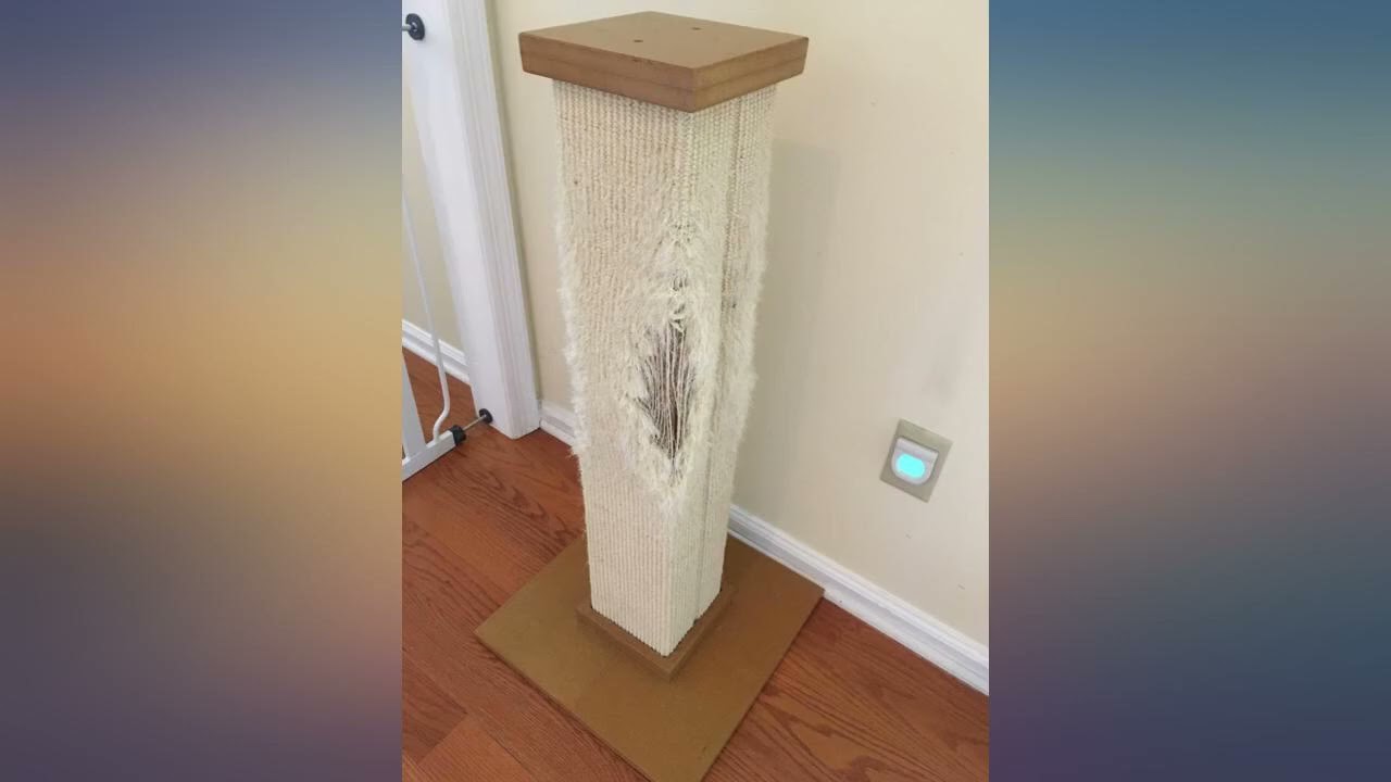 SmartCat Pioneer Pet Ultimate Scratching Post review