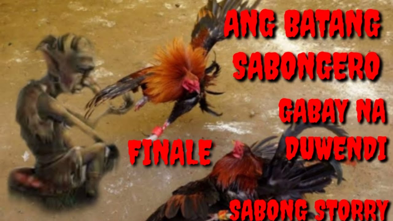 ANG BATANG SABONGERO MUTYA NG DUWENDE   KWENTO NG ERMETANYO TRUE STORRY   FINALE