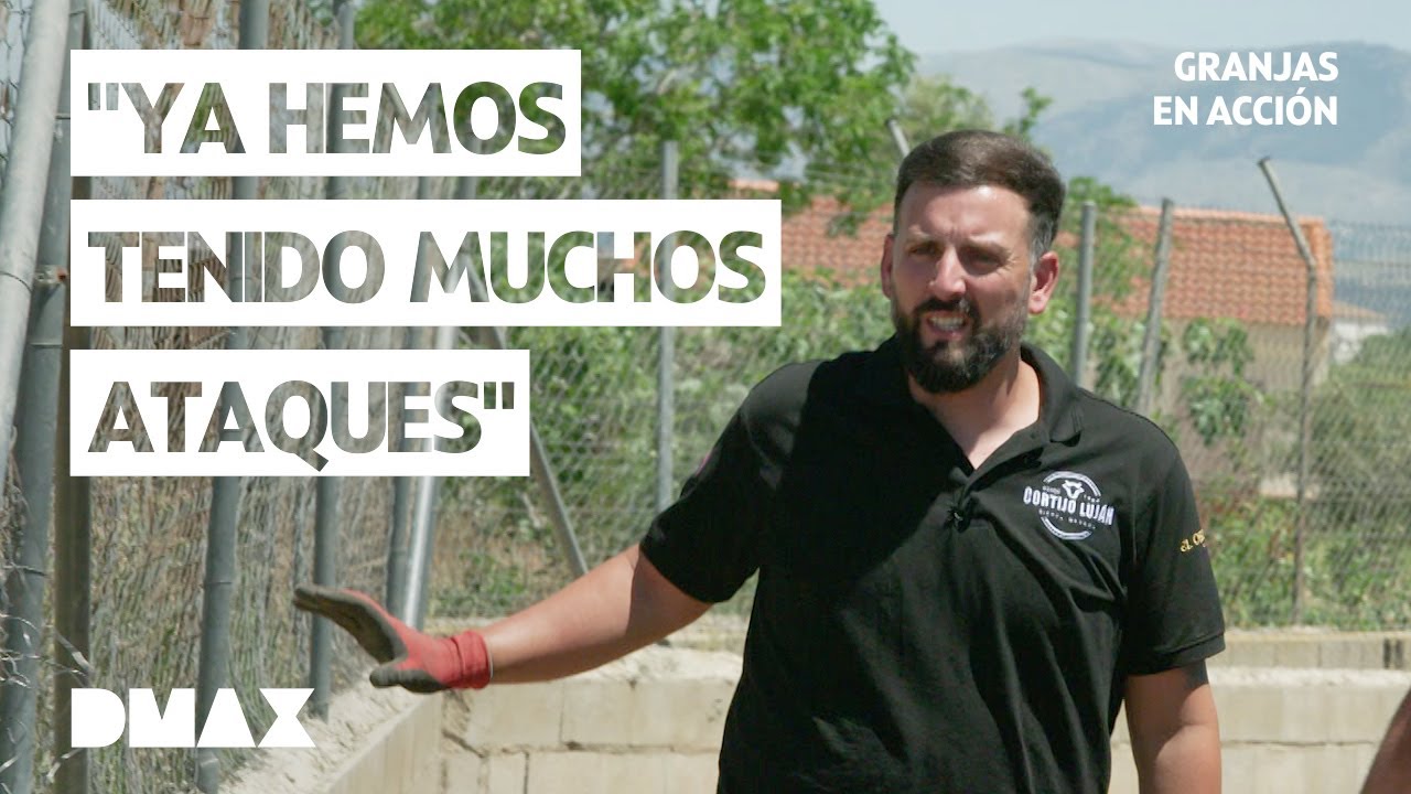 Perros salvajes al ataque | Granjas en acción