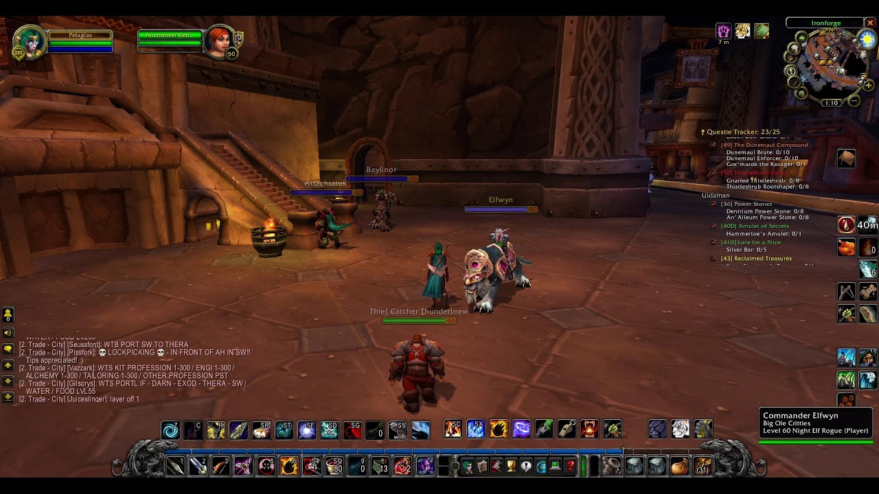 1st timer. (Day 14 Elf Hunter TBC) long session til scrims
