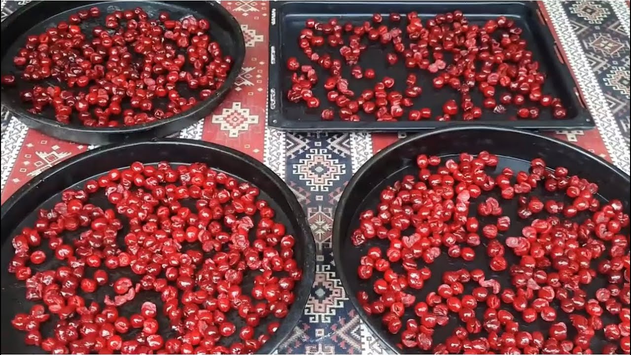ZOĞALIN ƏN İDEAL QURUDULMASI,illərnən necə saxlayıram?videoda