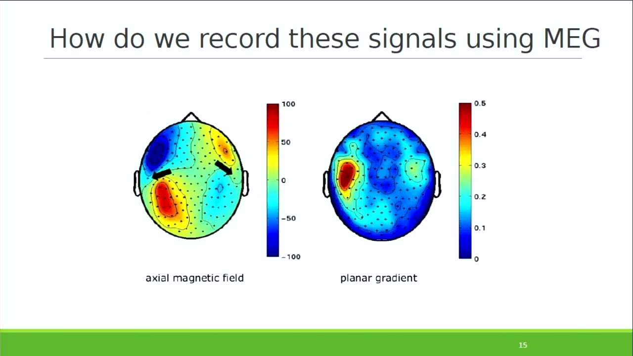 OHBM 2018 | Educational Course | EEG and MEG Source Reconstruction with FieldTrip | Part 1