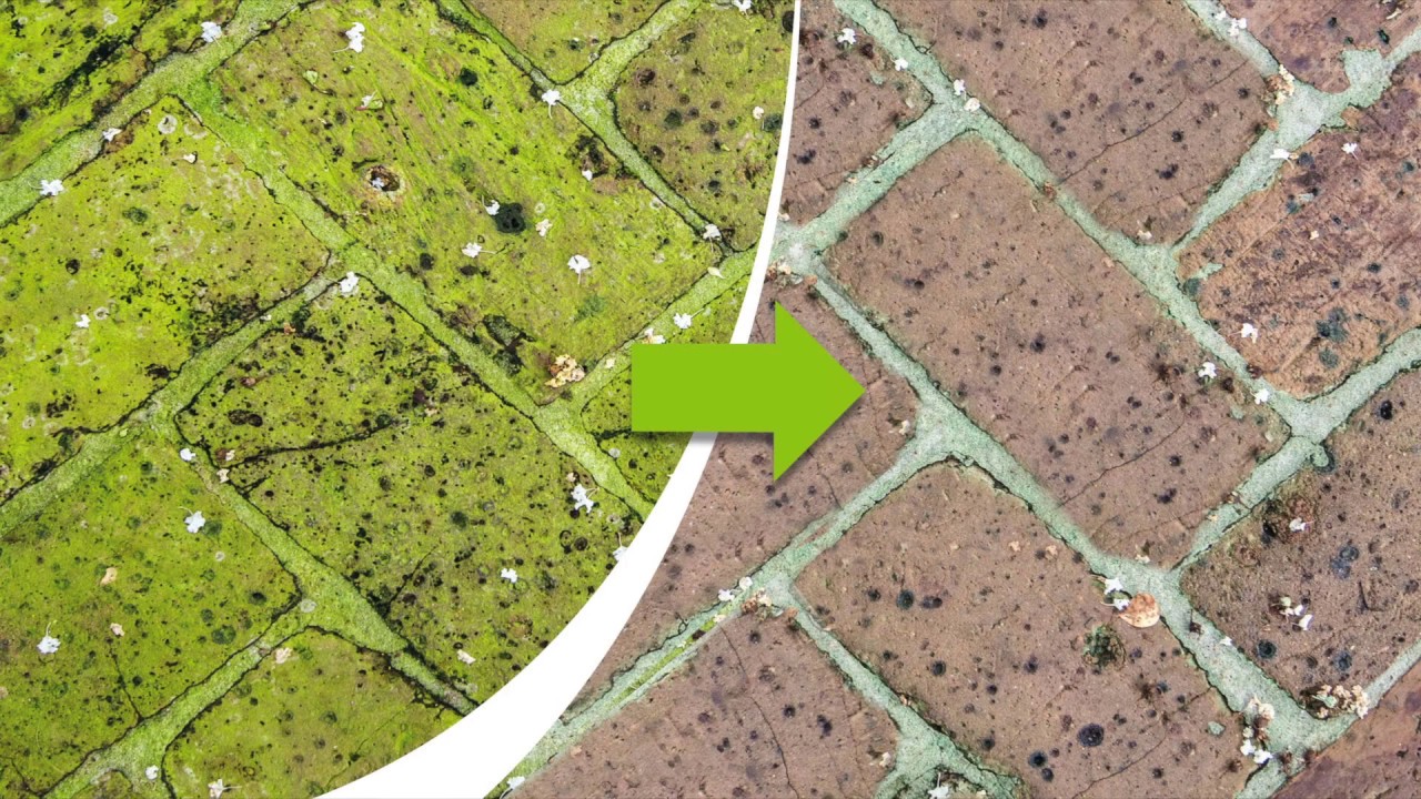 Green Kill: Hoe groene aanslag en korstmos verwijderen ?