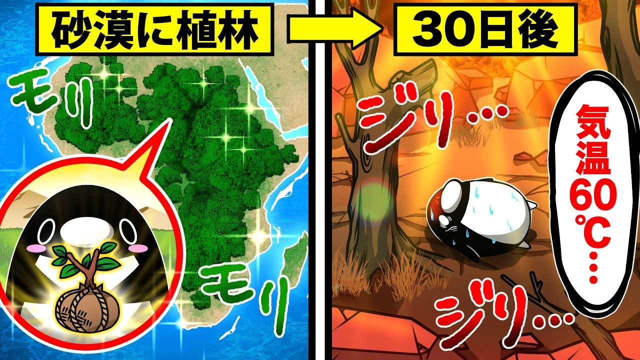 サハラ砂漠一面に木を植えるとどうなるのか？【アニメ】