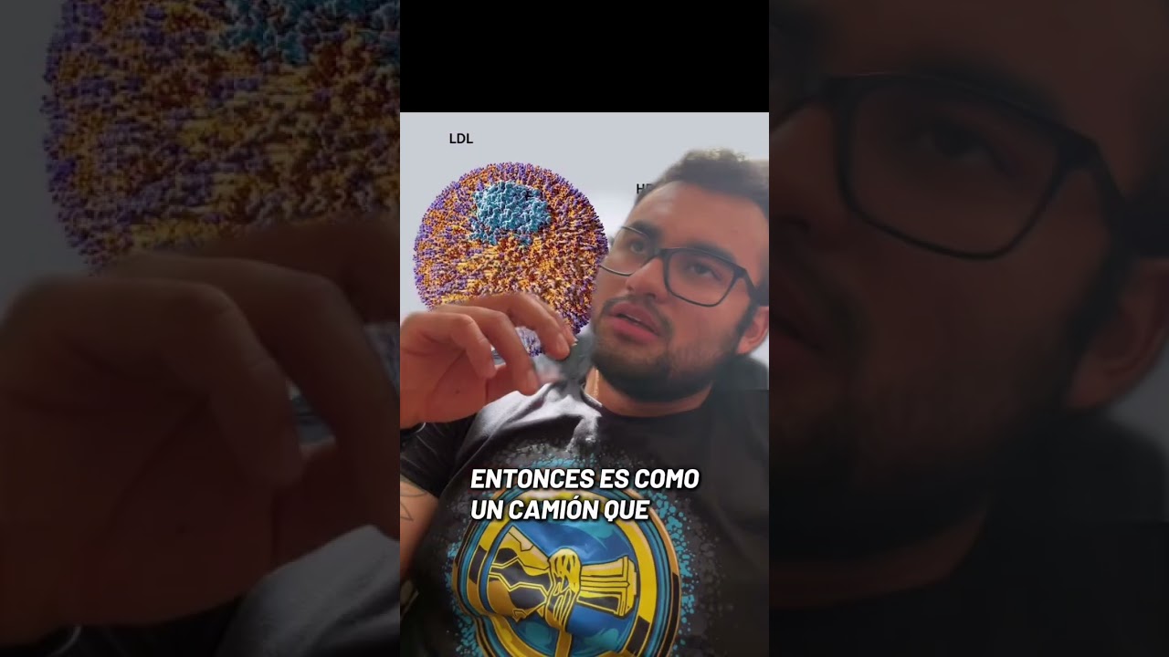 Metabolismo de lípidos 