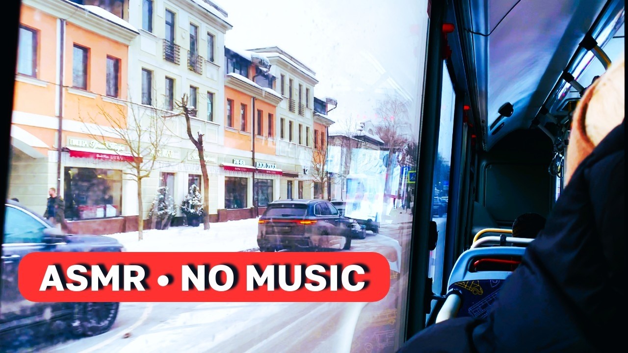 Winter Landscapes: Bus Route 23 from Zvenigorod Station