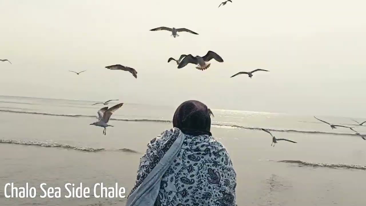Sea Side Vibes 🌊 | Part 1 #sea #karachi #picnic #family #familyvlog #familytime #viral