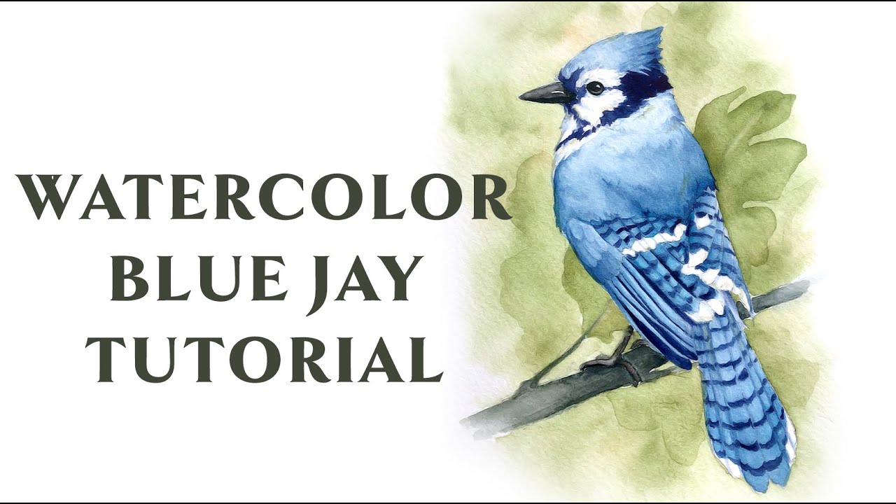Realistic Watercolor Bird Painting Tutorial - Step by Step