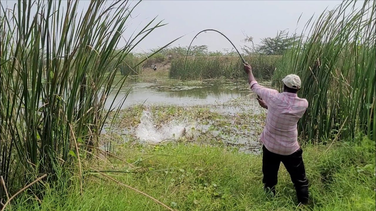 ROHU FISHING🎣TECHNIQUES LOCAL RIVER FISHING Catching in Krishna Village Fishing 