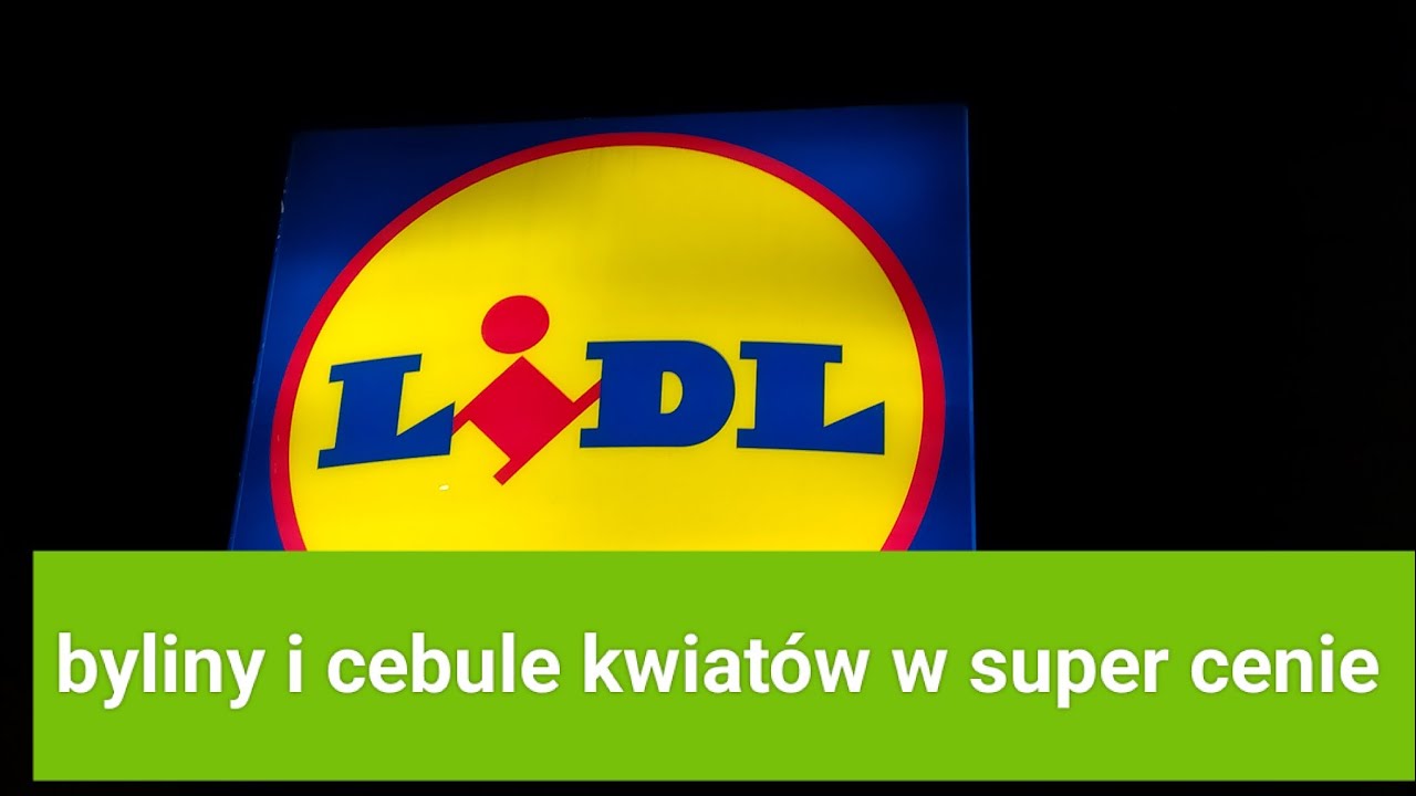 #Lidl # byliny i cebule kwiatów 🌷🌹  #ogród piękny