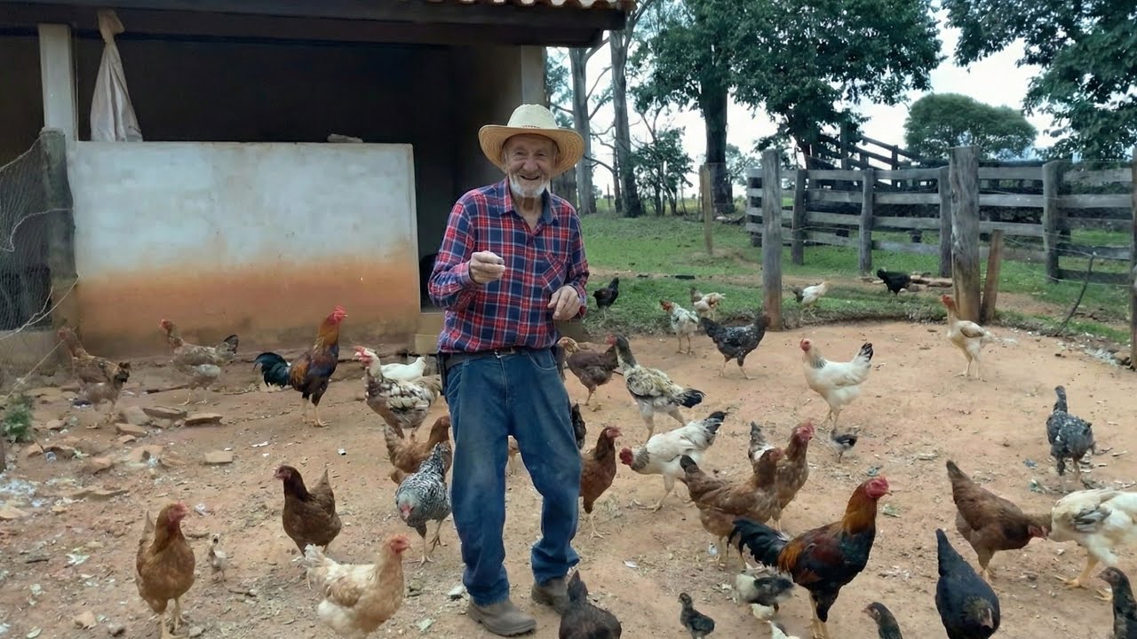 EM PEQUENO SÍTIO ELE CRIA GALINHAS DE ALTO VALOR COMERCIAL
