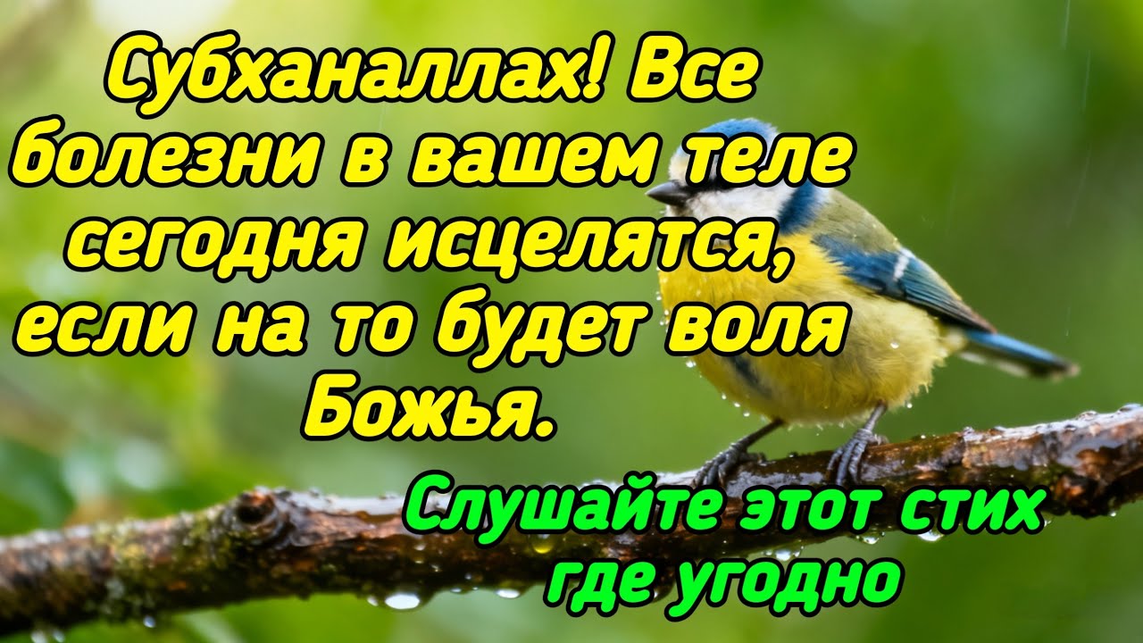Субханаллах❗️Все болезни в вашем теле сегодня будут излечены, если на то будет воля Божья.