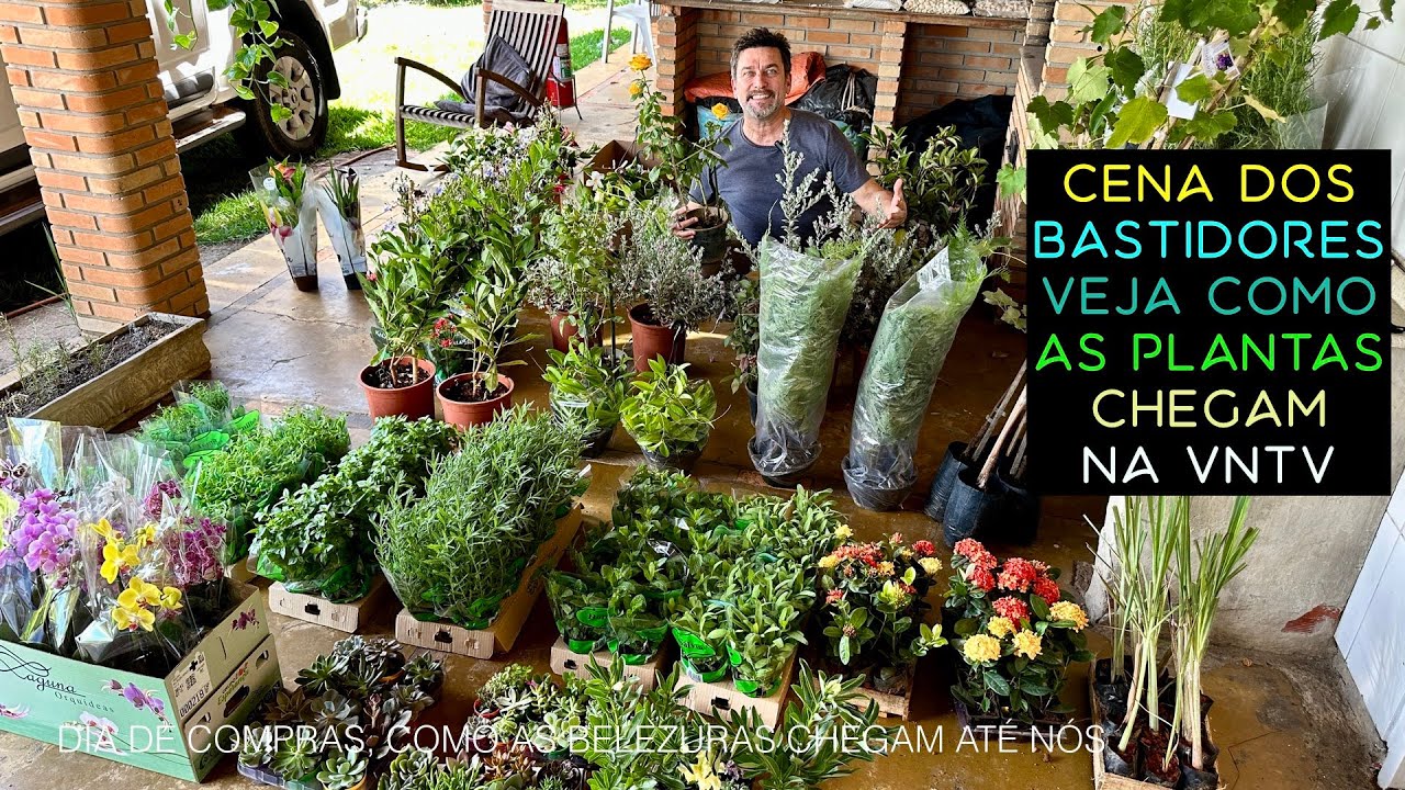 CENAS DE BASTIDORES: Veja Como as PLANTAS Chegam na VNTV