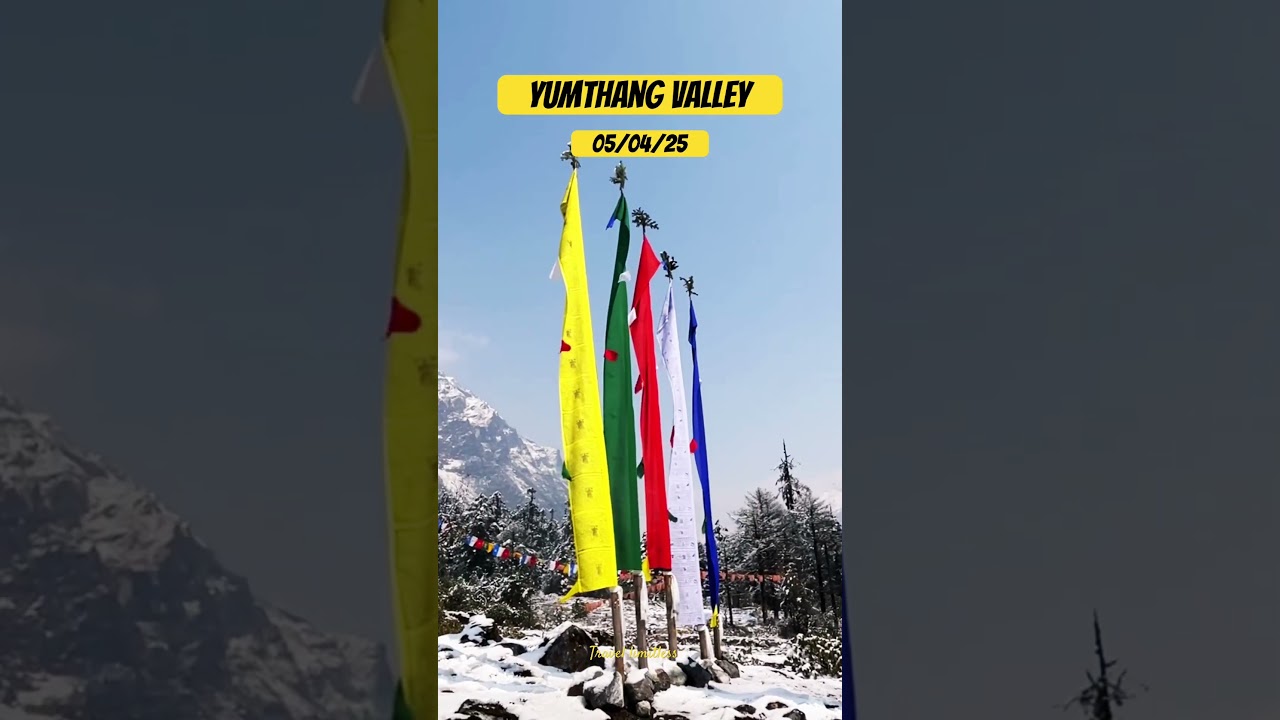 North sikkim | Yumthang valley | #northsikkim #shorts #yumthangvalley #snowfall #shortvideo #trend