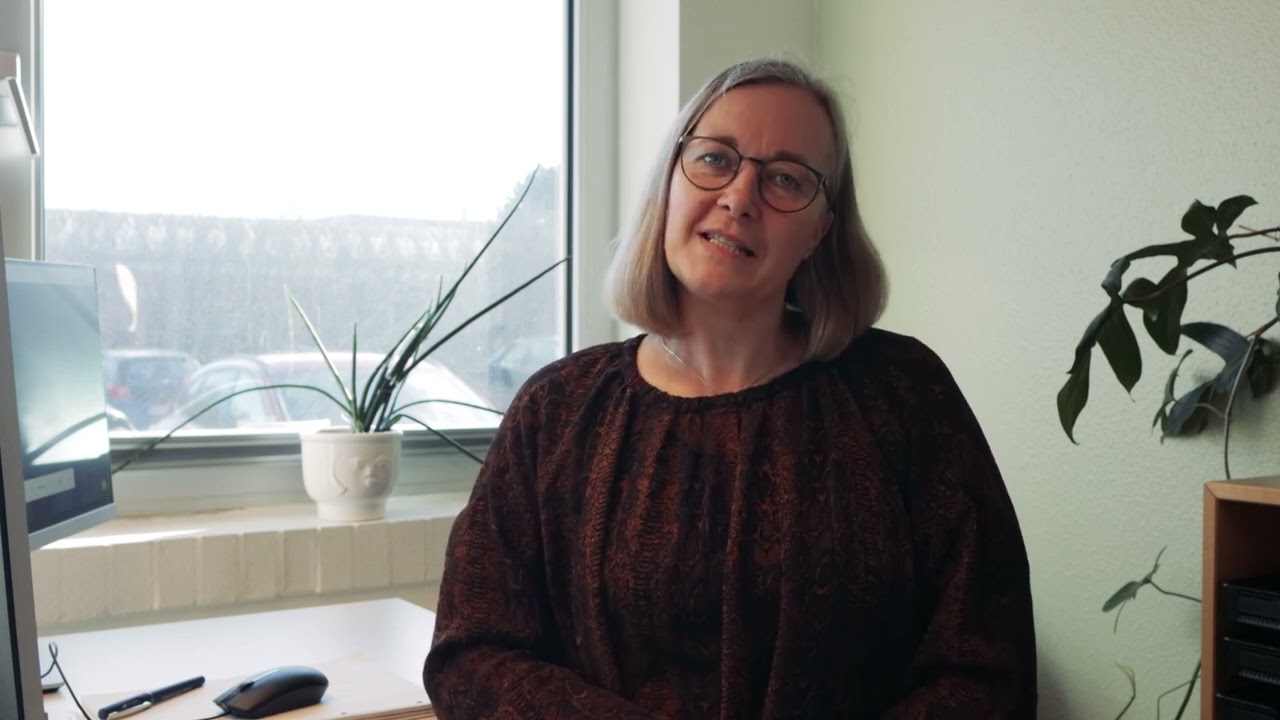 Studievejledning p&aring; gymnasiet
