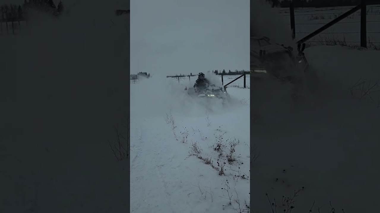 Deep snow is to much fun! 
