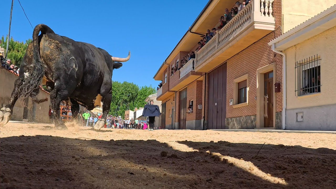 Villoria 2025 Toro del Voto