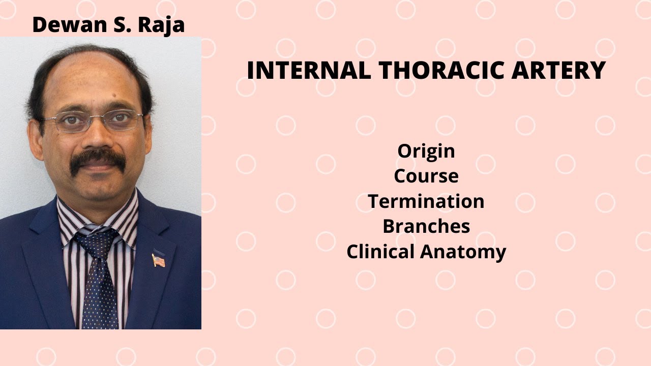 INTERNAL THORACIC ARTERY