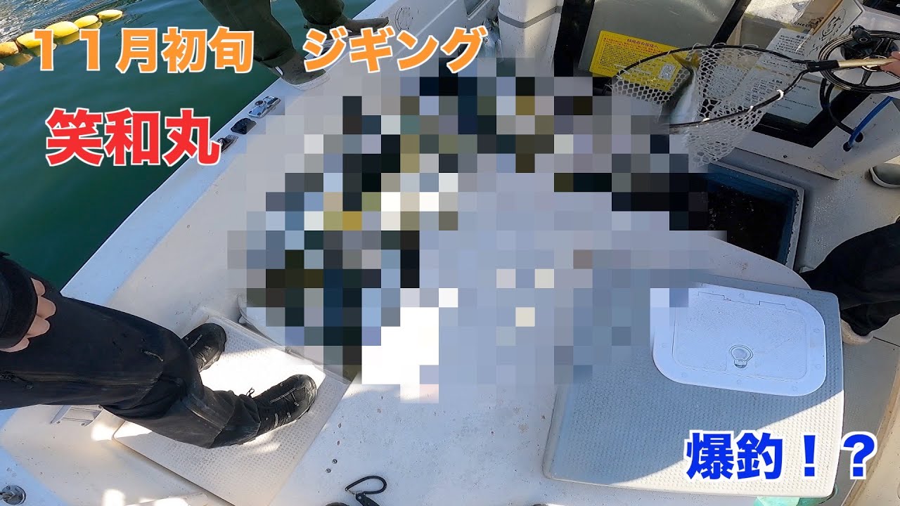 11月上旬　青物爆釣　MOZ622LMとMOZ622LIght Zero使用