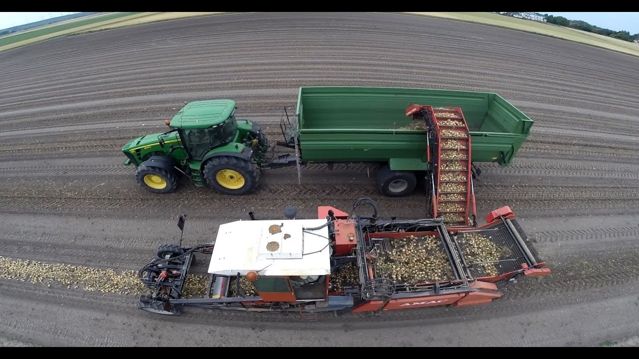 Onion Harvest in Germany with AMAC ZM2  || Zwiebelernte mit AMAC ZM2