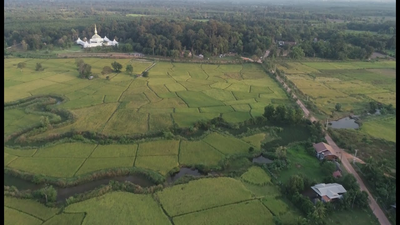บรรยากาศบริเวณ วัดป่าบ้านหนองผือ จ.สกลนคร 10-11-2563