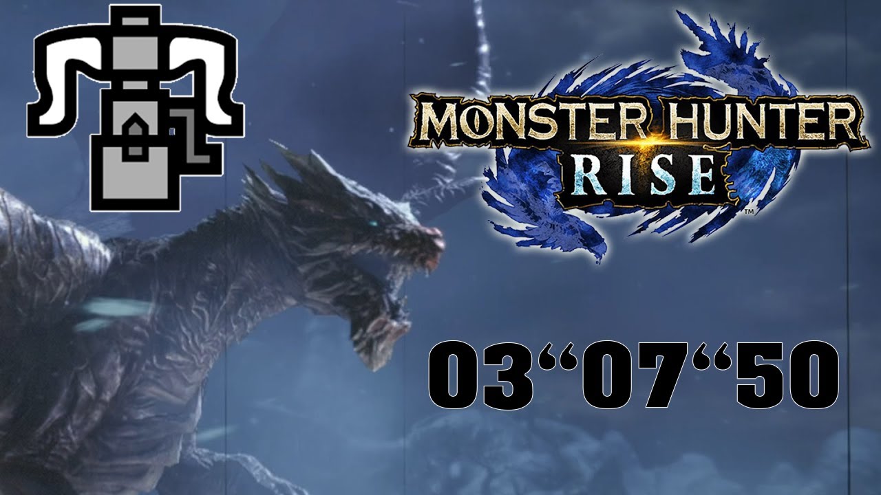 MH Rise: Kushala Daora Solo HBG | Speedrun 3