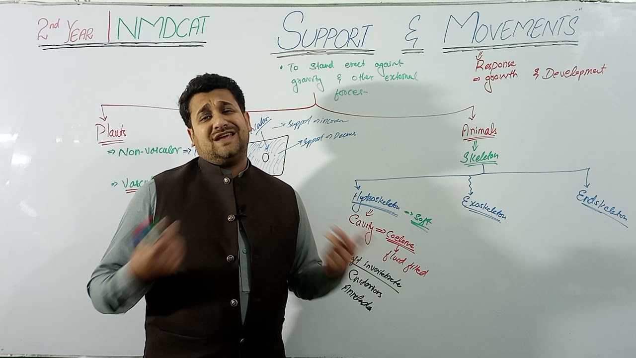 Support & Movement | Biology Fsc 2nd year NMDCAT | lec 01