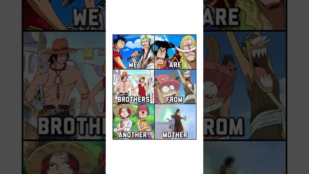 EPIC ONE PIECE MEMES 487 || 