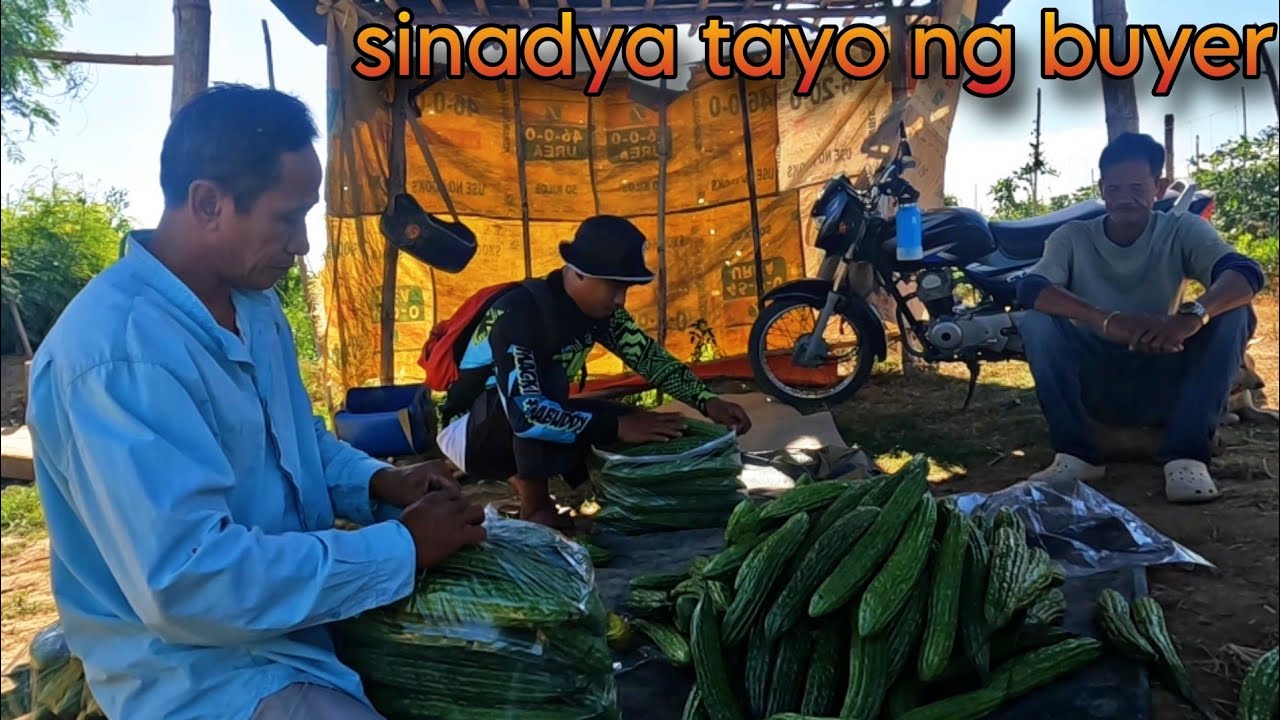 NAKATALI NA SA IISANG BUYER
