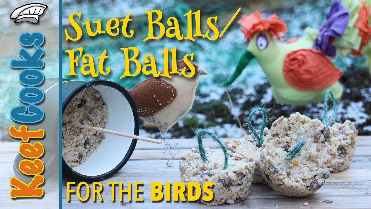 Suet Cakes | Fat Balls | Bird Food