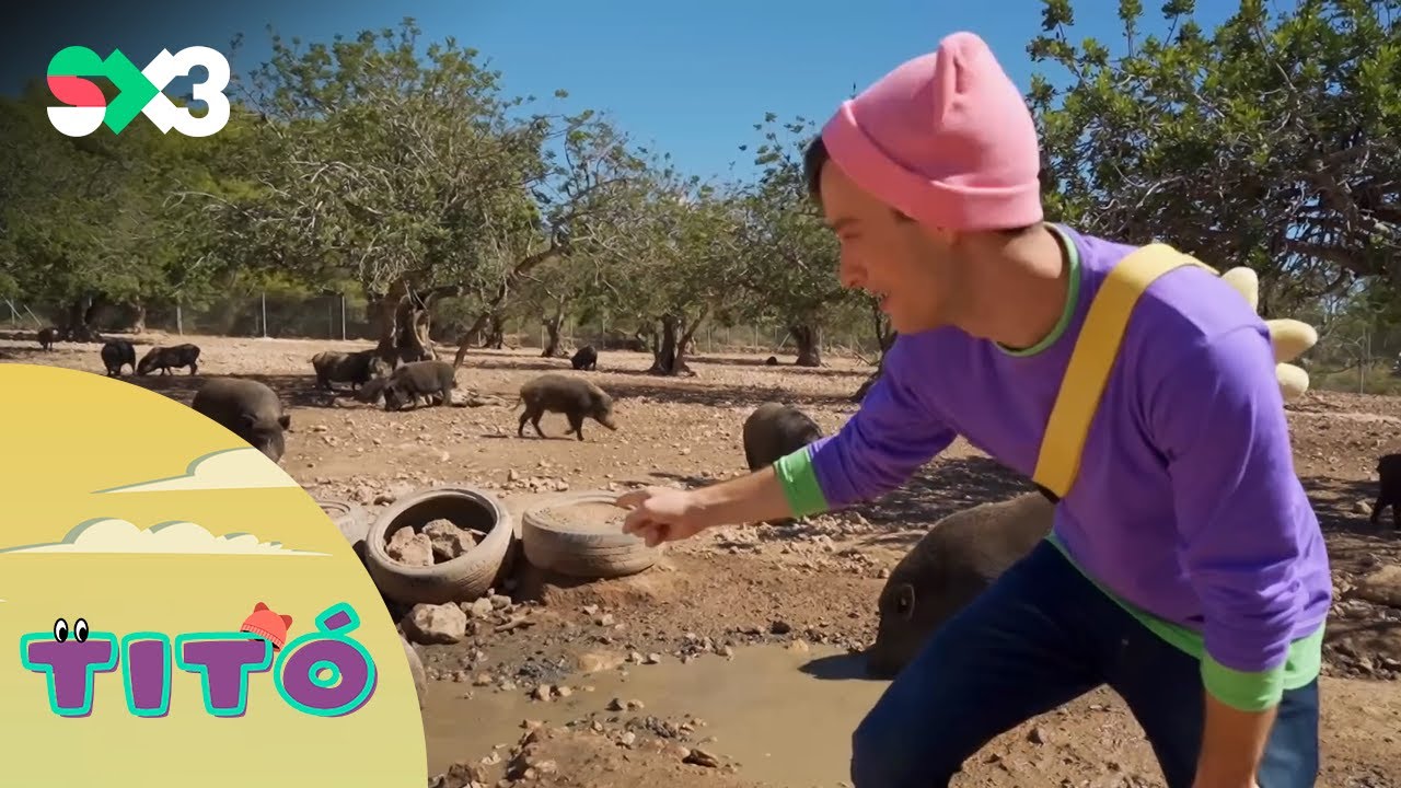 Excursió al refugi d'animals | Titó