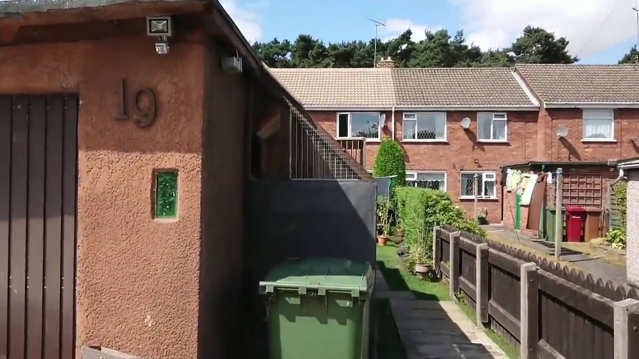 Pierwszy lot gołębi młodych 28.07.2018