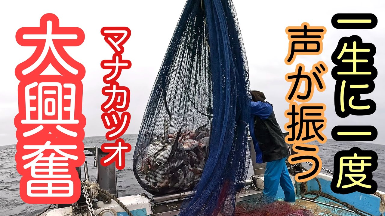 大興奮❗️一生に一度の大漁体験で声が振るえた❗️【和歌山県】マナガツオ底引網漁師My voice trembled as I caught the biggest catch of my life.