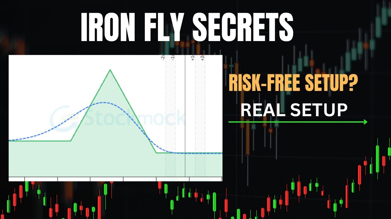 IRON FLY LOGIC + CONTROL WITH ADJUSTMENT