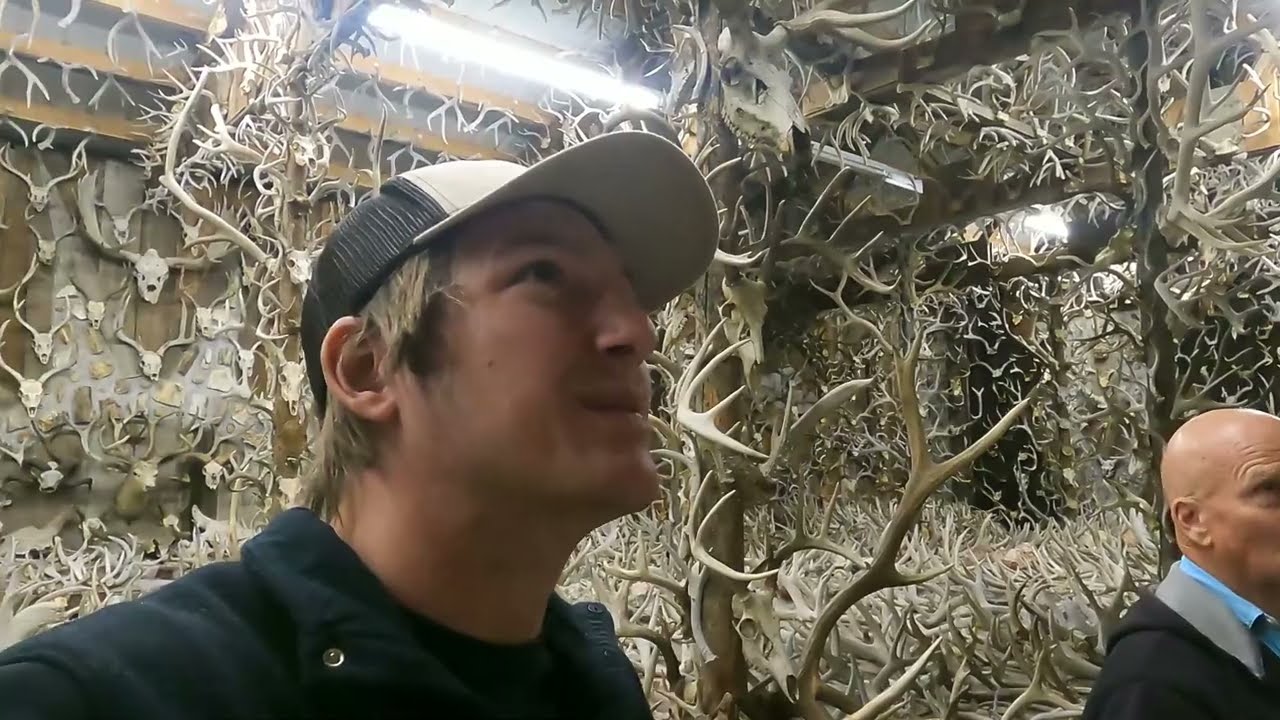 Montana’s Antler Man (Jim’s House of Horns) 🇺🇸