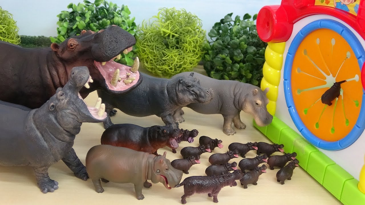 カバがおもちゃのおうちへいっぱいすぽすぽするよ 大きなお口を開けている