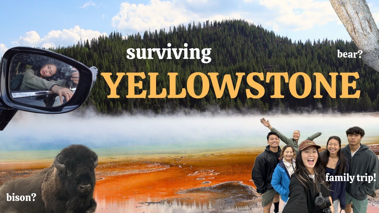 All the ANIMALS we saw in YELLOWSTONE vlog (iconic sights, gift shop finds, etc.)!