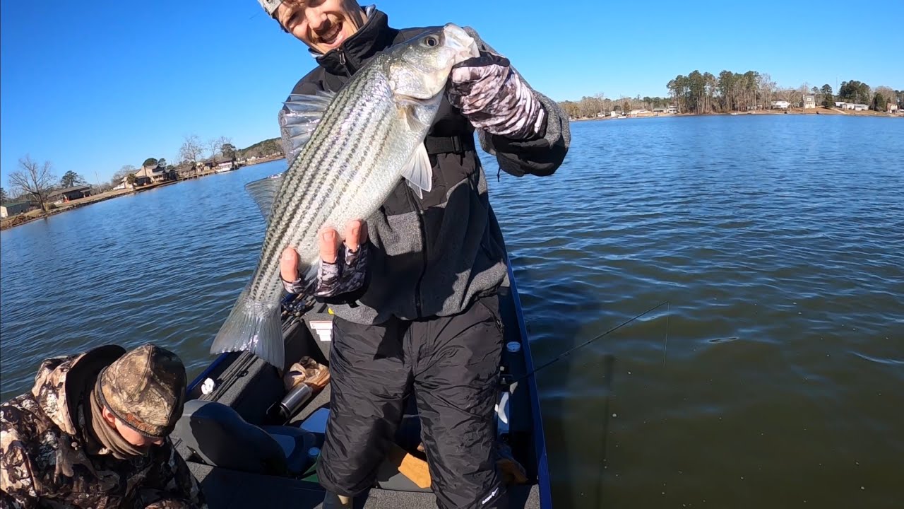 Lake Murray Striper Fishing with A-rigs