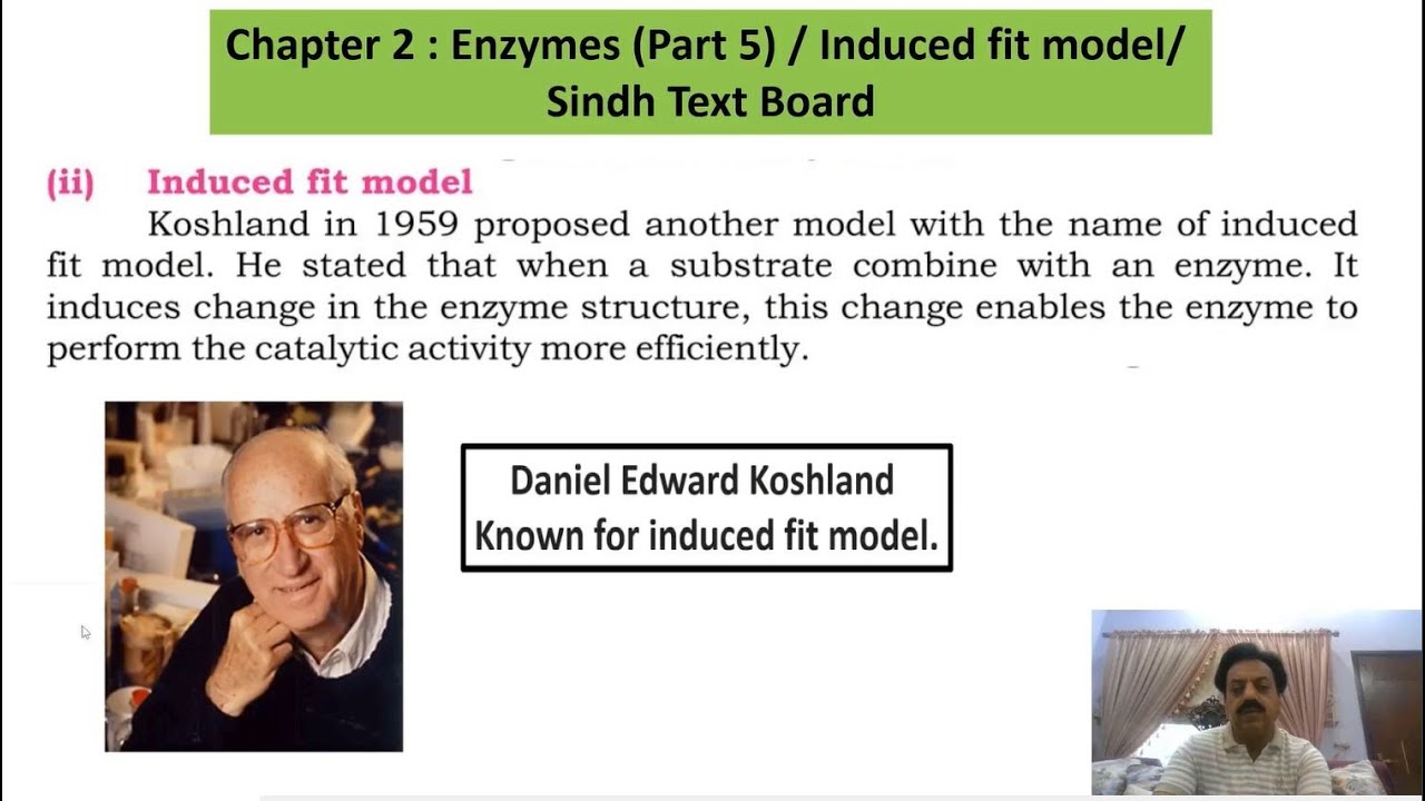 Chapter 2: / First year Biology / Enzymes (Part 5) / Induced fit model / Sindh Text Board