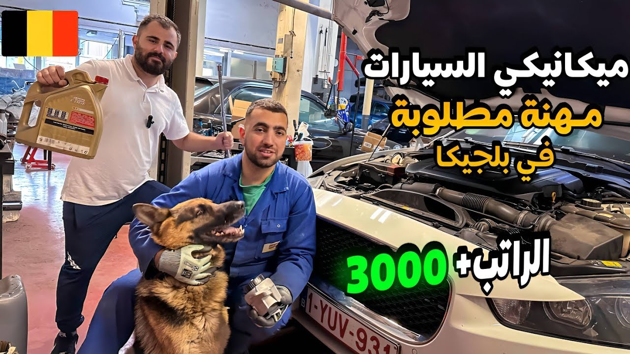 مهنة ميكانيكي السيارات في بلجيكا 🇧🇪 مطوبه وسهلة ب راتب ممتاز 👌🏻