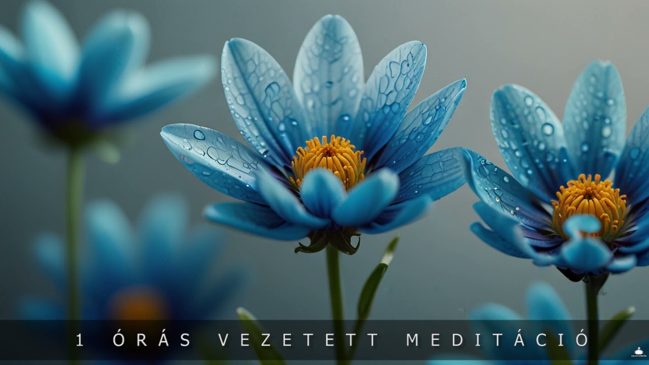 1 órás mindfulness vezetett meditáció
