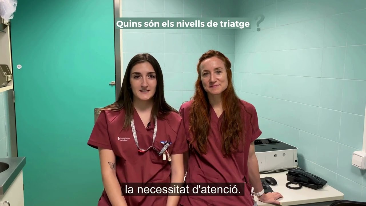 2. Què és el triatge?