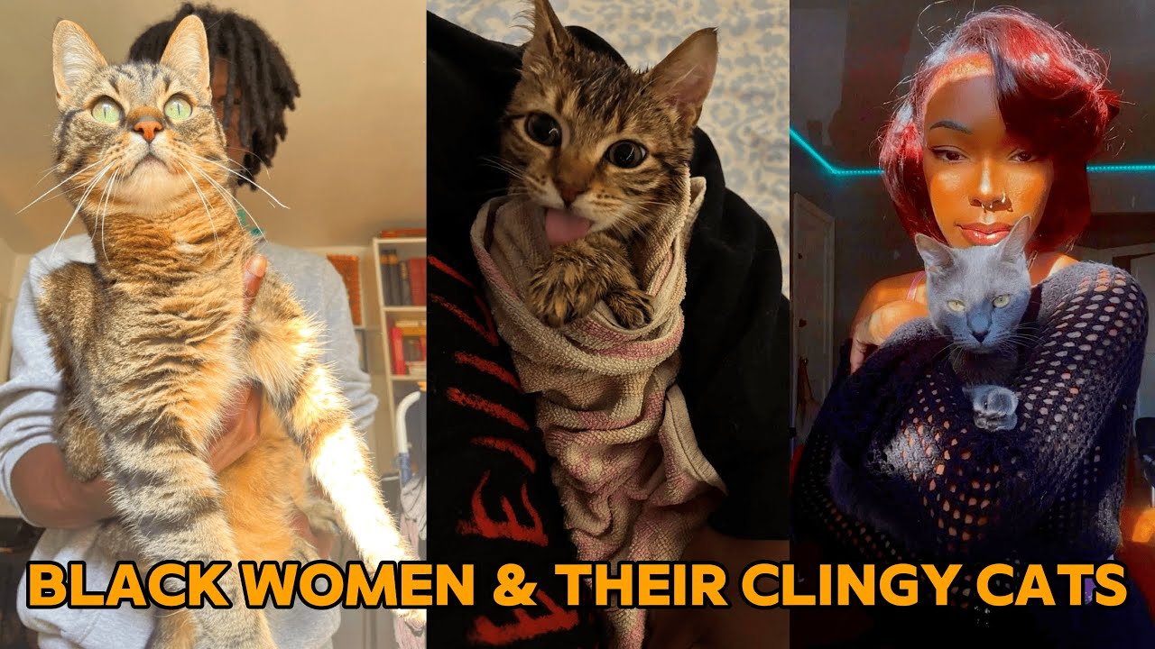 Black Women & Their Clingy Cats #2 | LUCKY UPDATE 🐾 | Funny TikTok Compilation 2026 